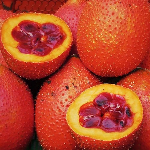 สารสกัดฟักข้าวมีประโยชน์อย่างไร