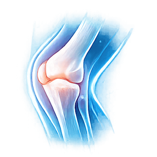 กระดูกและข้อ